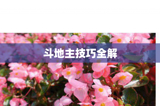 斗地主技巧全解图片
