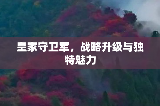 战略升级与独特魅力图片