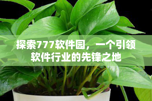 一个引领软件行业的先锋之地图片