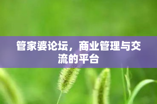 商业管理与交流的平台图片