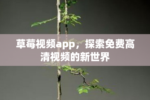 探索免费高清视频的新世界图片