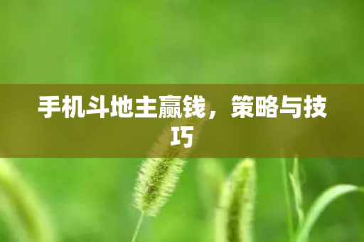 手机斗地主赢钱图片