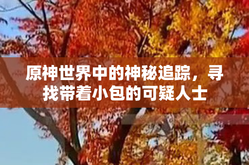 寻找带着小包的可疑人士图片