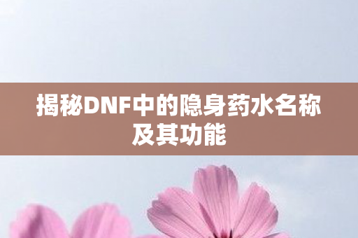 揭秘DNF中的隐身药水名称及其功能图片