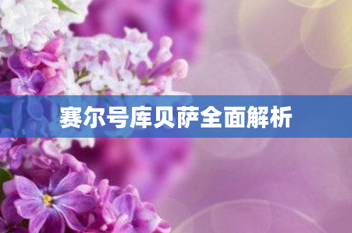 赛尔号库贝萨全面解析图片