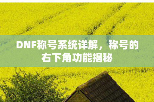 称号的右下角功能揭秘图片