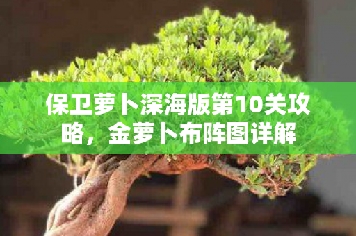 保卫萝卜深海版第10关攻略图片