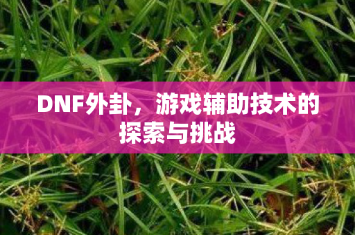 游戏辅助技术的探索与挑战图片