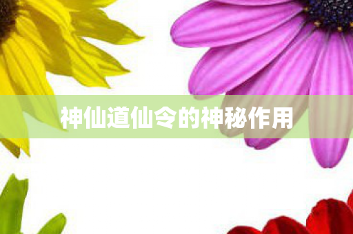 神仙道仙令的神秘作用图片
