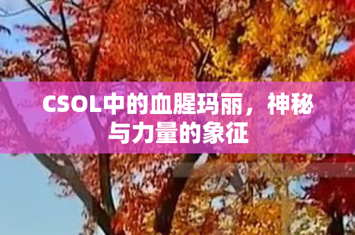 CSOL中的血腥玛丽图片