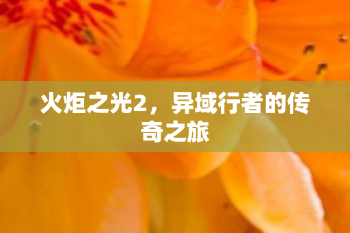 异域行者的传奇之旅图片