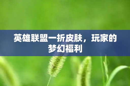 英雄联盟一折皮肤图片
