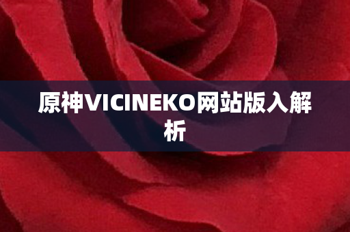 原神VICINEKO网站版入解析图片