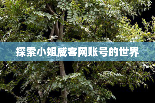 探索小姐威客网账号的世界图片