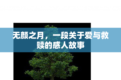 一段关于爱与救赎的感人故事图片