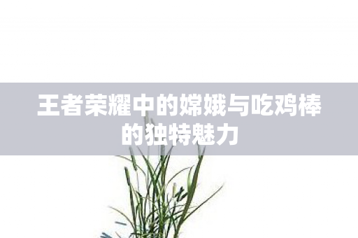 王者荣耀中的嫦娥与吃鸡棒的独特魅力图片