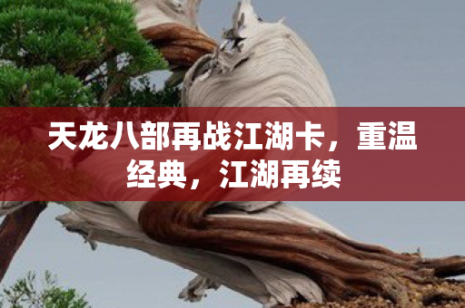 天龙八部再战江湖卡图片