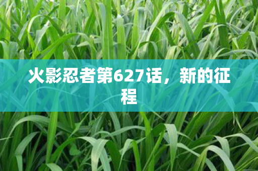 火影忍者第627话图片