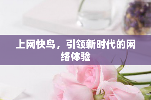 引领新时代的网络体验图片