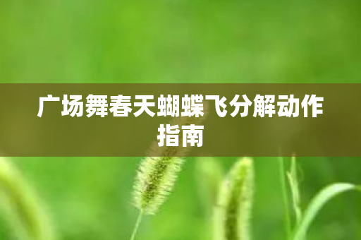 广场舞春天蝴蝶飞分解动作指南图片