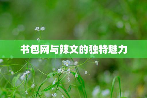 书包网与辣文的独特魅力图片