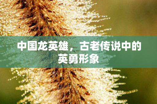 古老传说中的英勇形象图片