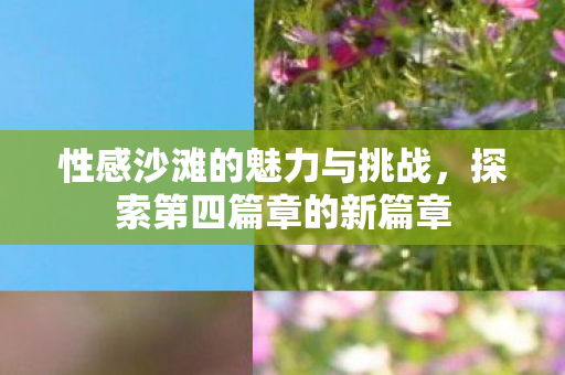 性感沙滩的魅力与挑战图片
