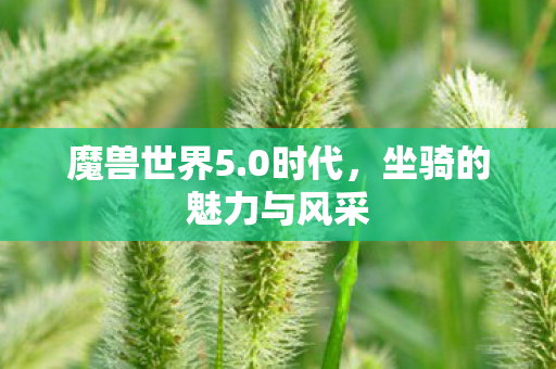 坐骑的魅力与风采图片