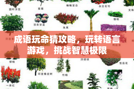 成语玩命猜攻略图片