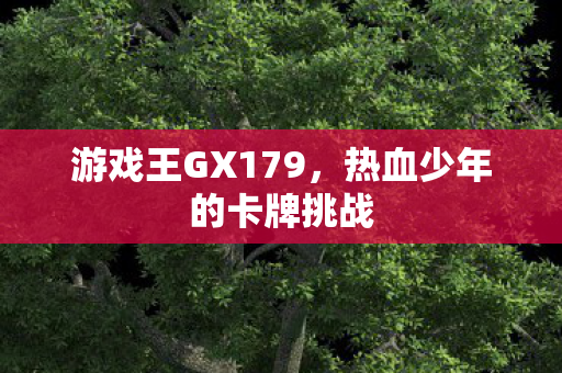 热血少年的卡牌挑战图片