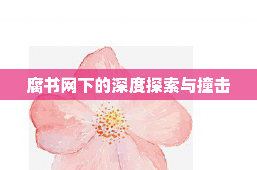 腐书网下的深度探索与撞击图片