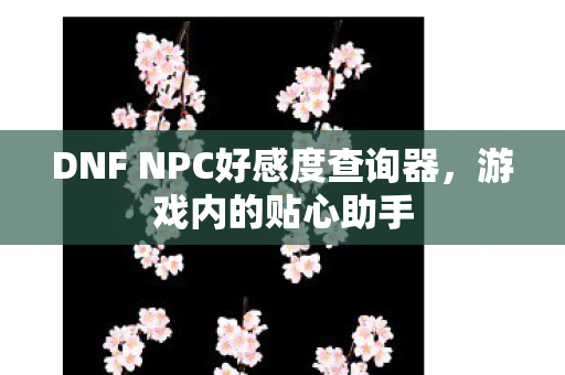 DNF NPC好感度查询器图片