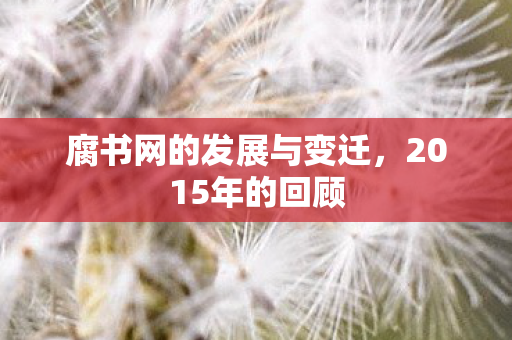 腐书网的发展与变迁图片