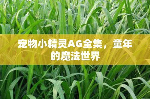 宠物小精灵AG全集图片