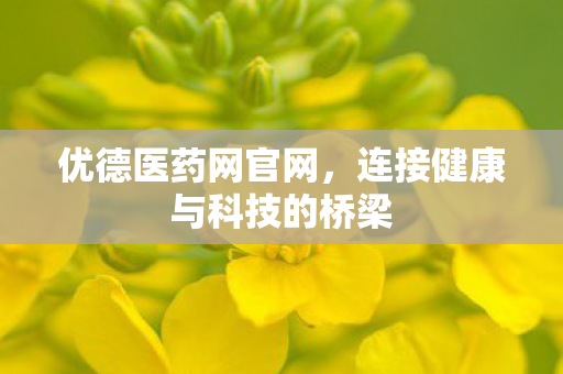 连接健康与科技的桥梁图片