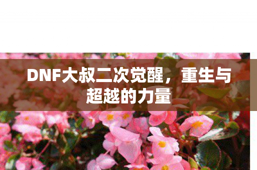 DNF大叔二次觉醒图片