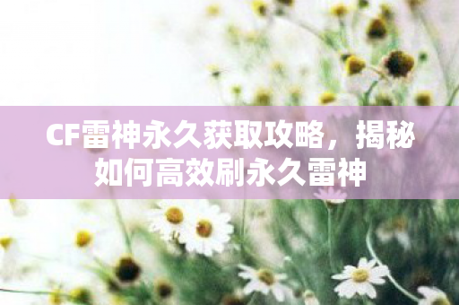 揭秘如何高效刷永久雷神图片