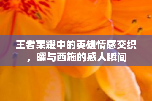 王者荣耀中的英雄情感交织图片