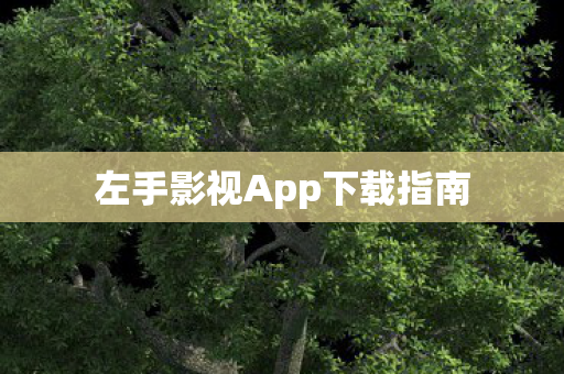 左手影视App下载指南图片