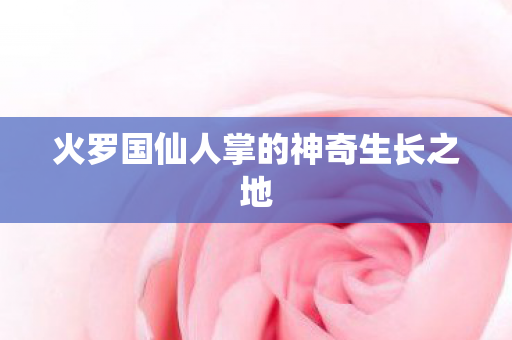 火罗国仙人掌的神奇生长之地图片
