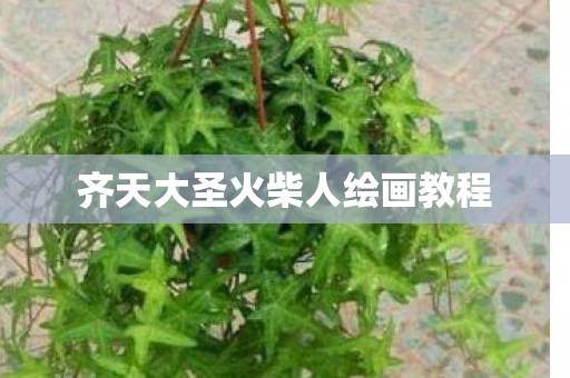 齐天大圣火柴人绘画教程图片