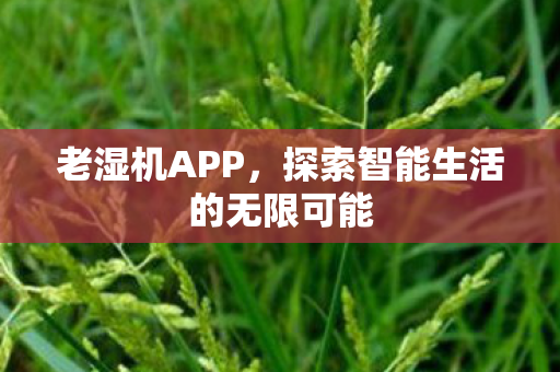 探索智能生活的无限可能图片