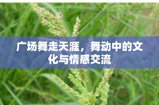 舞动中的文化与情感交流图片