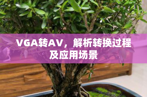 解析转换过程及应用场景图片