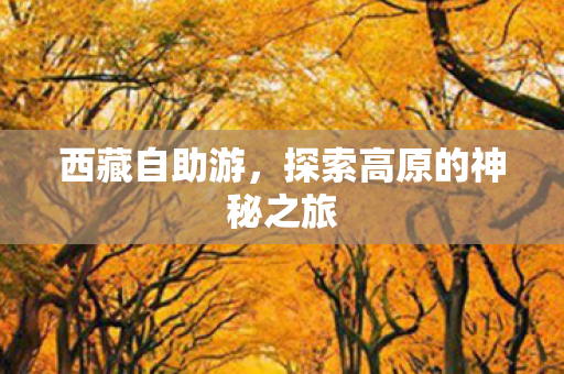 探索高原的神秘之旅图片