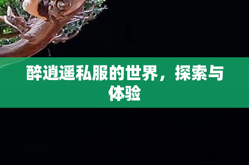 醉逍遥私服的世界图片