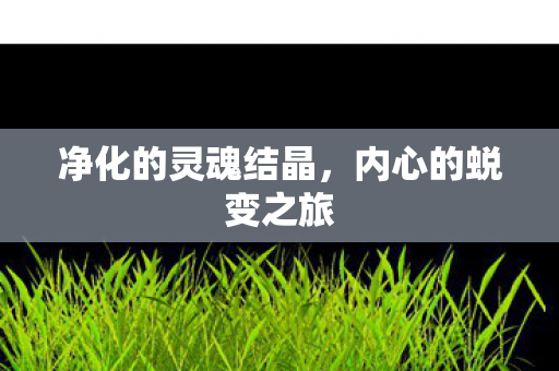 净化的灵魂结晶图片