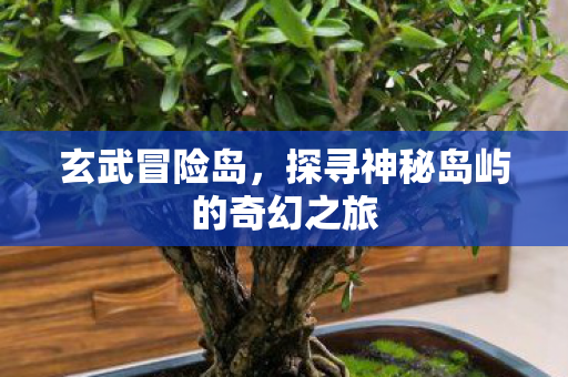 探寻神秘岛屿的奇幻之旅图片