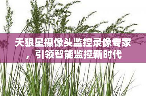 天狼星摄像头监控录像专家图片