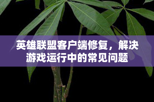 解决游戏运行中的常见问题图片